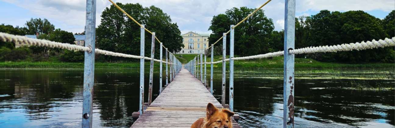 Turizmo vietos, kur priimama su gyvūnais 
