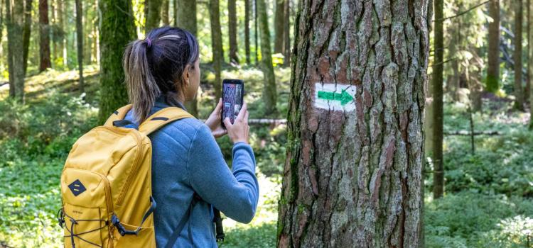 Pārgājienu maršruti Bauskas novadā