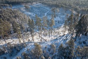 DJI_0723