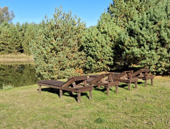 Viesu māja Forrest