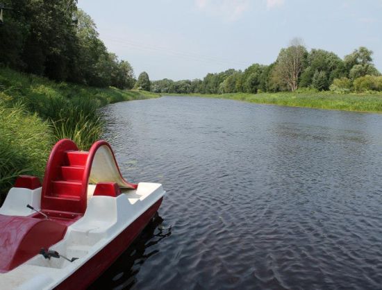 Cīruļi maamaja