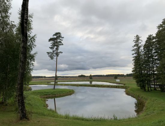 Disc golf park &ldquo;Mežavoti&rdquo;