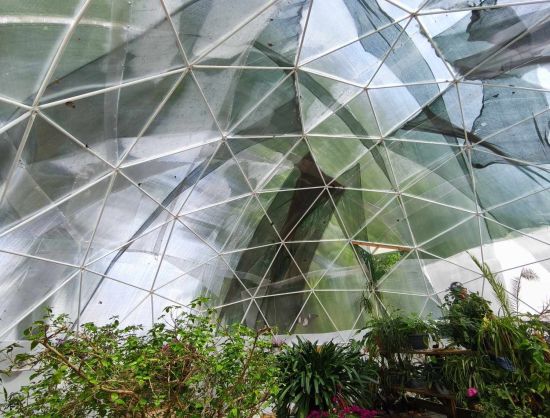 Tropical butterfly house