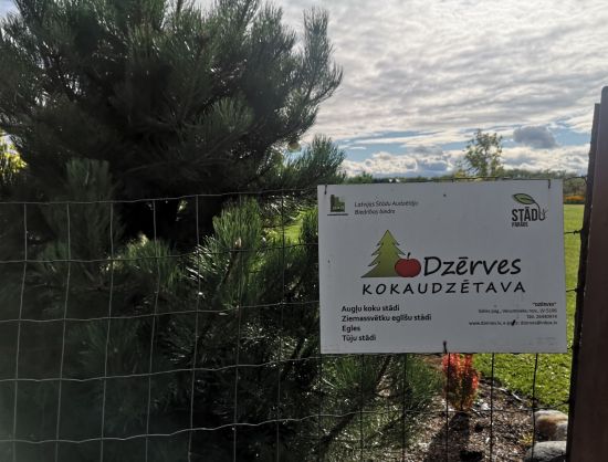 Norāde uz kokaudzētavu Dzērves