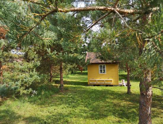 Bičių namai 