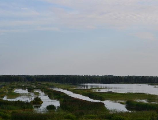 Lādzeni veehoidla