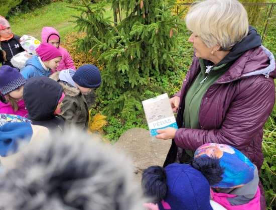 Environmental education 