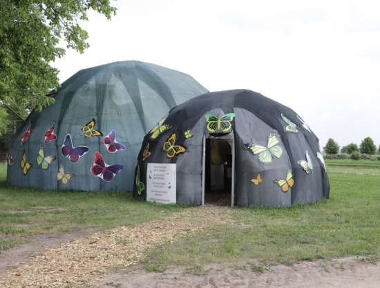 Tropical butterfly house