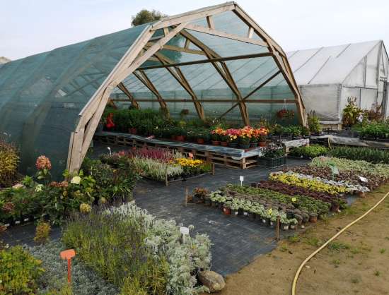 Gardening-nursery 