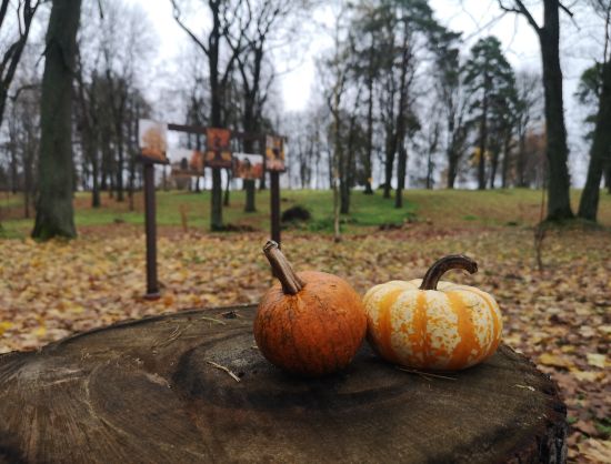 Rudens ainava Ānes-Mēmeles muižas parkā