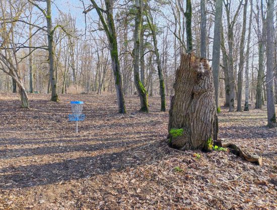 Disku golfa Ziedoņi disku grozs parkā