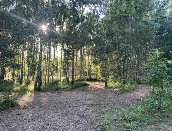 Disc golf park &ldquo;Mežavoti&rdquo;
