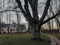 Iecava park and manor complex