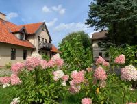 Ainaviska vieta, Rundāles pils tuvumā, nak&scaron;ņo&scaron;ana muižā, iekopts dārzs, dabas takas apskatei.