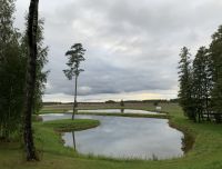 Disc golf park &ldquo;Mežavoti&rdquo;