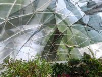 Tropical butterfly house