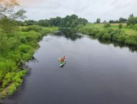 Cīruļi maamaja