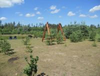 Viesu māja Forrest