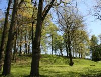 Iecava park and manor complex