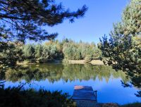 Viesu māja Forrest