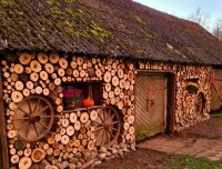 Brunavas mālotavas darbnīca - &scaron;ķūnītis