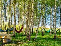 Brunavas mālotavas atpūtas parks bērzu birzī