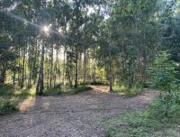 Disc golf park &ldquo;Mežavoti&rdquo;