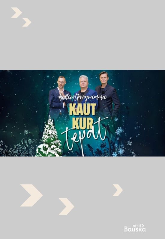 Ziemas koncertprogramma Iecavā