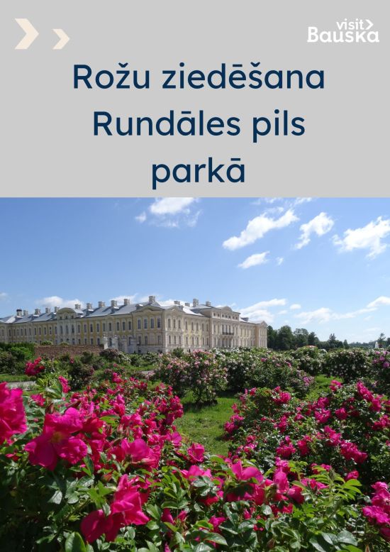 Rožu ziedēšana Rundāles pils parkā
