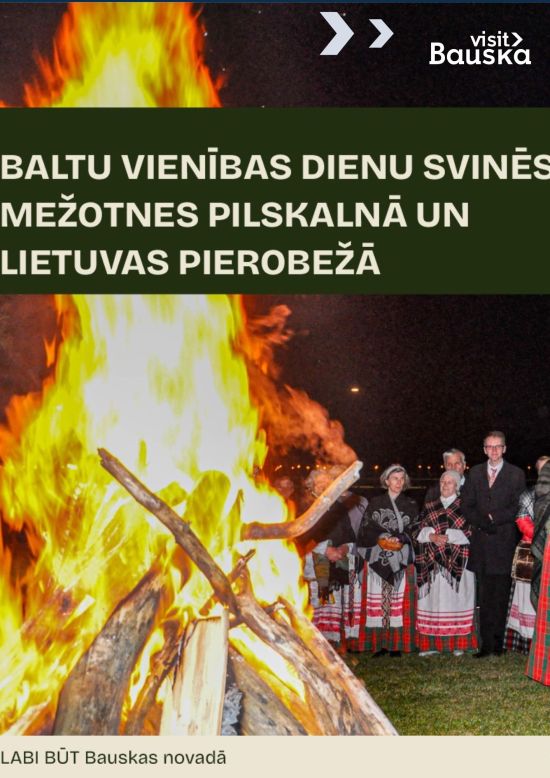 Baltu vienības diena