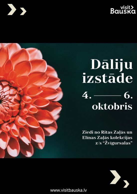 Dāliju izstāde Rundāles pilī 