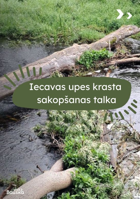 Iecavas upes krasta  sakopšanas talka