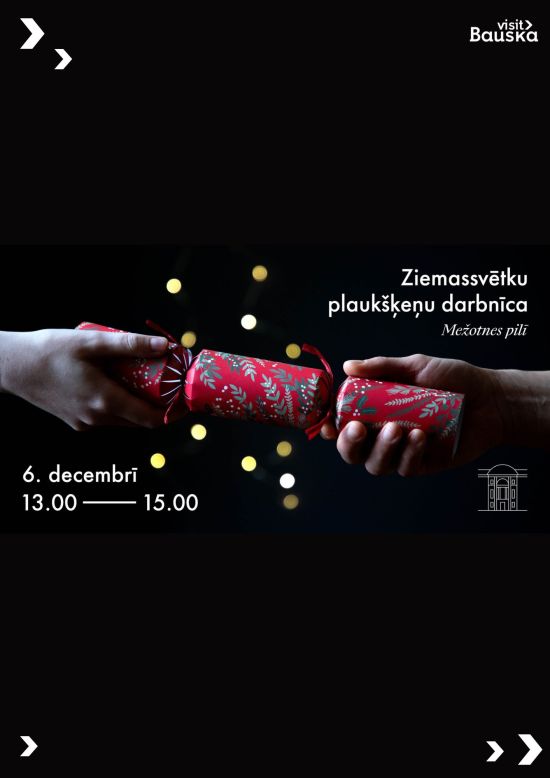 Ziemassvētku plaukšķeņu darbnīca | Mežotnes pils