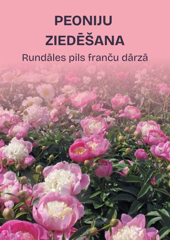 Rundāle lossipargis õitsevad pojengid
