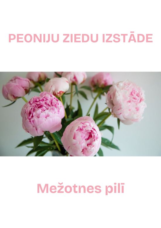 Peoniju ziedēšanas laikā Mežotnes pilī 