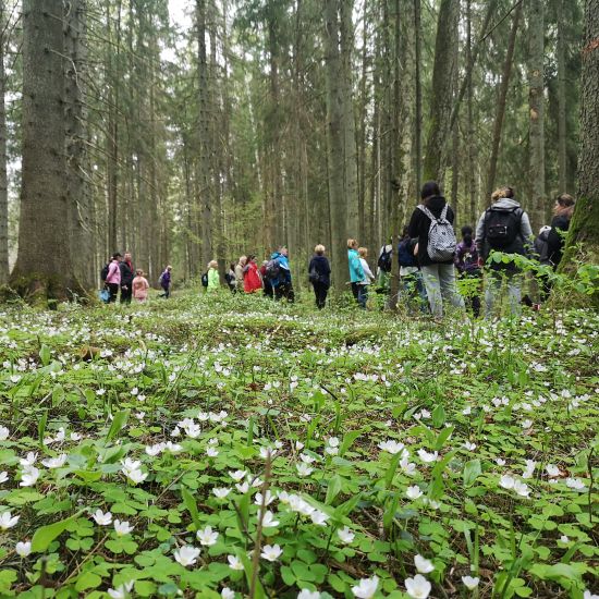 Izstrādāts Latvijas dabas tūrista ētikas kodekss