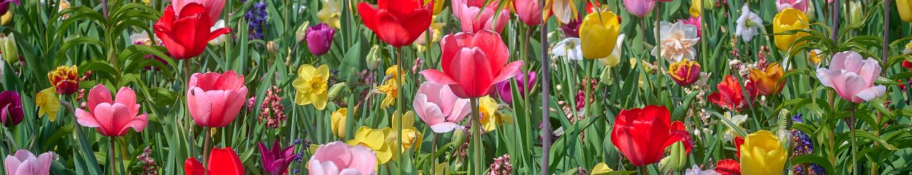 Holiday house “Brieži”