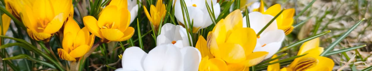 Guest house “Gravas”